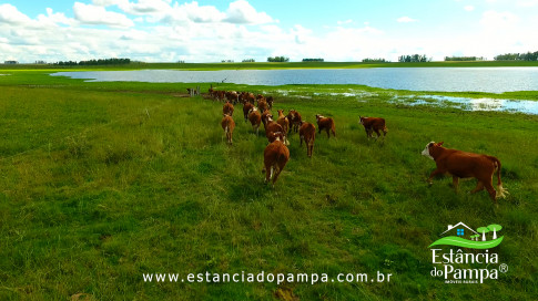 DOS EÓLICOS VIRA P FAZENDA_Moment.00_08_12_13.Quadro260_114e72868436cba50103c4ebcd40f621ede4c1da.jpg